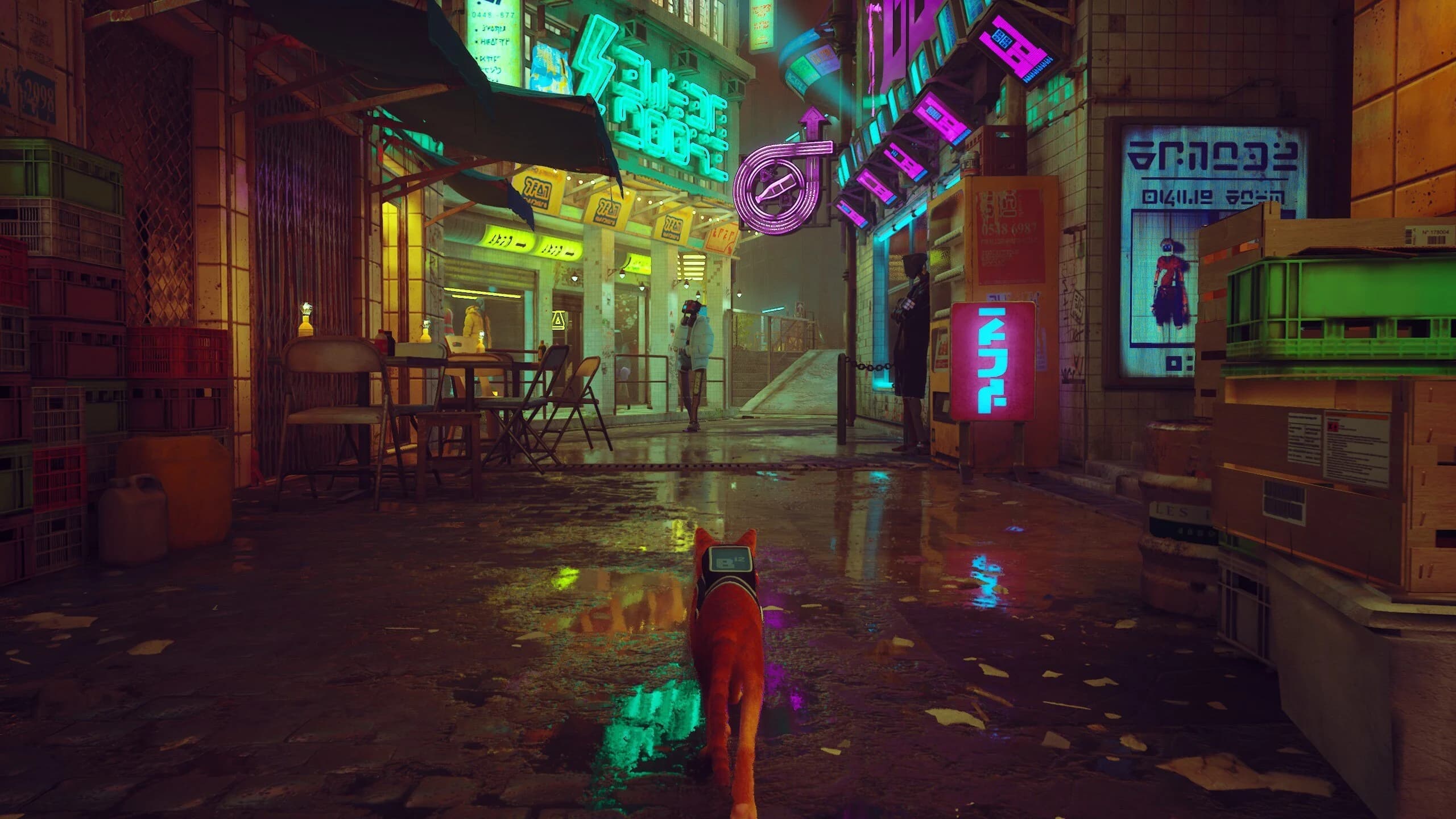 ภาพเกม Stray 2025 - WaffyGame
